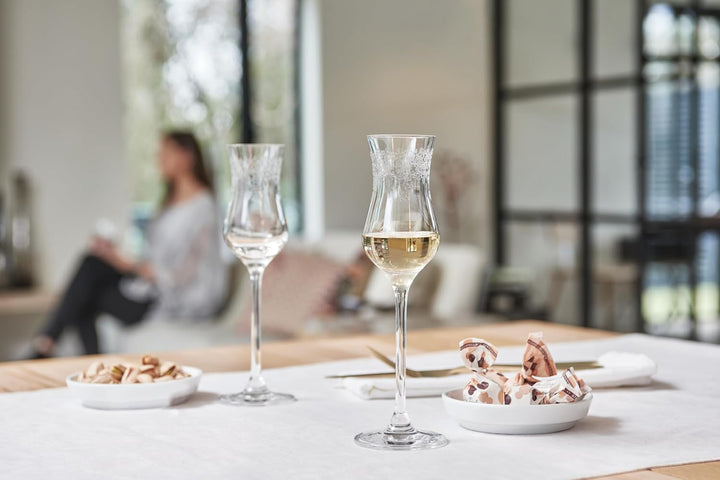 Leonardo Chateau Grappa-Gläser, 6er Set, spülmaschinenfeste Digestif-Gläser, Schnaps-Glas mit gezoge