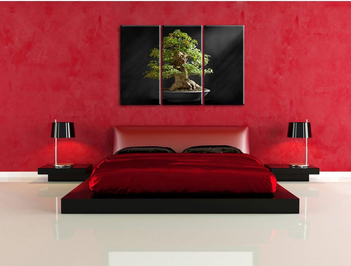 Pixxprint Kleiner Bonsaibaum / 3-Teilig/Gesamtmass 120cm Leinwandbild bespannt auf Holzrahmen/Wandbi