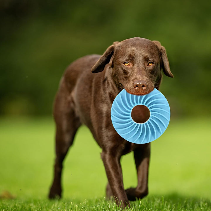 Hunde Langsamfütterungsscheibe für Trocken und Nassfutter Blau