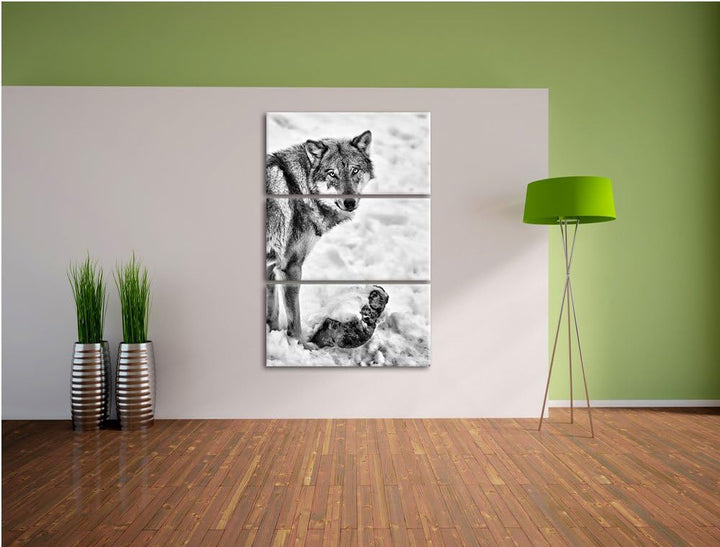 Pixxprint prächtiger Wolf im Schnee als Leinwandbild/Grösse: 3 Teilig (120x80) cm/Wandbild/Kunstdruc