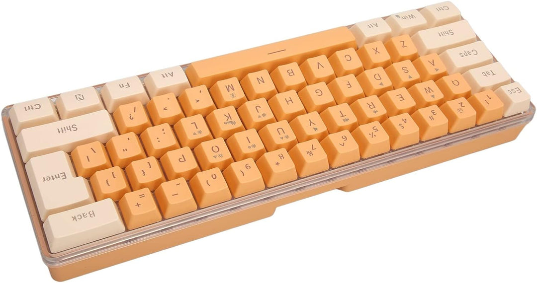 60% Kabelgebundene Gaming-Tastatur, 61 Tasten RGB-Tastatur für PC, Kabelgebundene Kompakte PC-Tastat