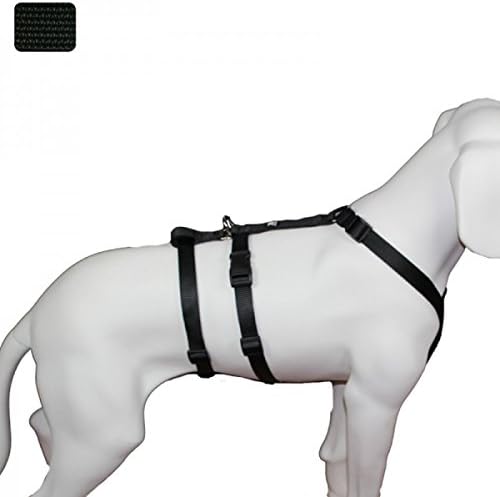 Feltmann NoExit Hundegeschirr®, mit passender Führleine 210 cm, 3-Fach verstellbar - ausbruchssicher