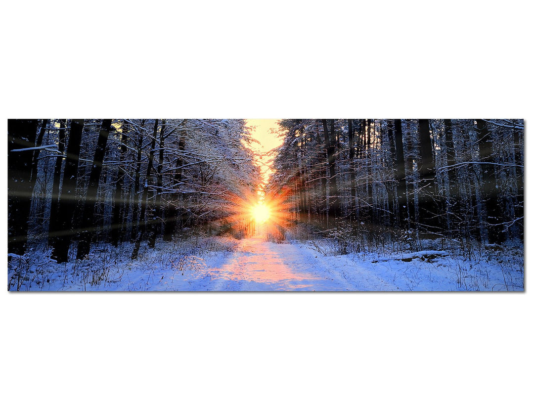 Paul Sinus Art Panoramabild auf Leinwand und Keilrahmen 150x50cm Wald Bäume Winter Schnee Sonnenaufg