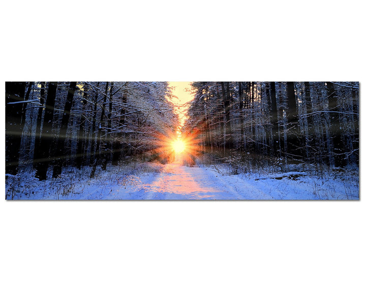 Paul Sinus Art Panoramabild auf Leinwand und Keilrahmen 150x50cm Wald Bäume Winter Schnee Sonnenaufg