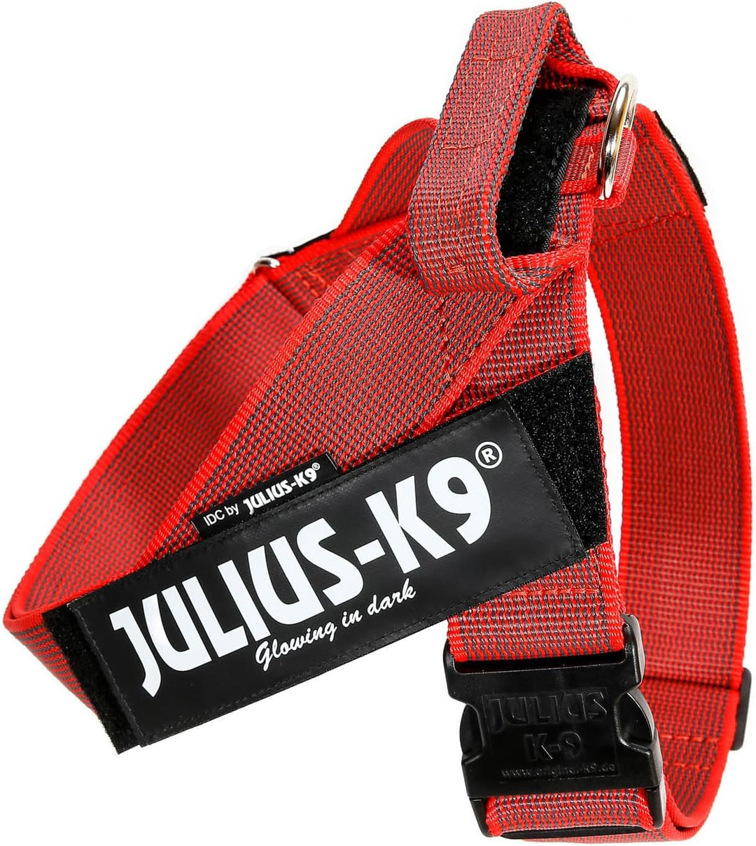 Julius-K9, Color & Gray, Beltgeschirr L / 1 rot-grau, L / 1 rot-grau