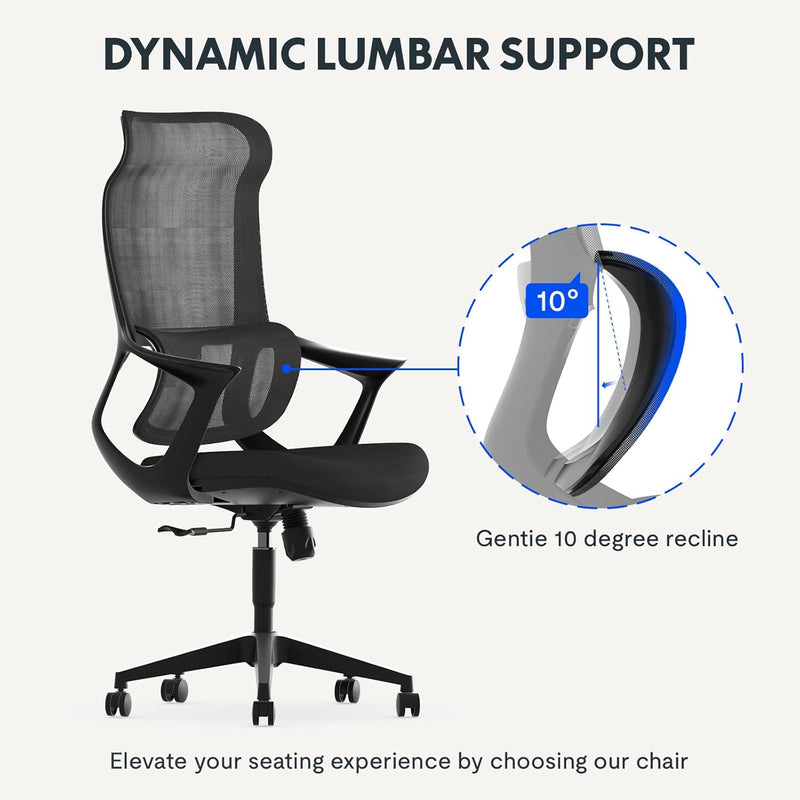 FLEXISPOT Bürostuhl Ergonomisch Schreibtischstuhl Computerstuhl Höhenverstellbarer Sitz Kopfstütze A