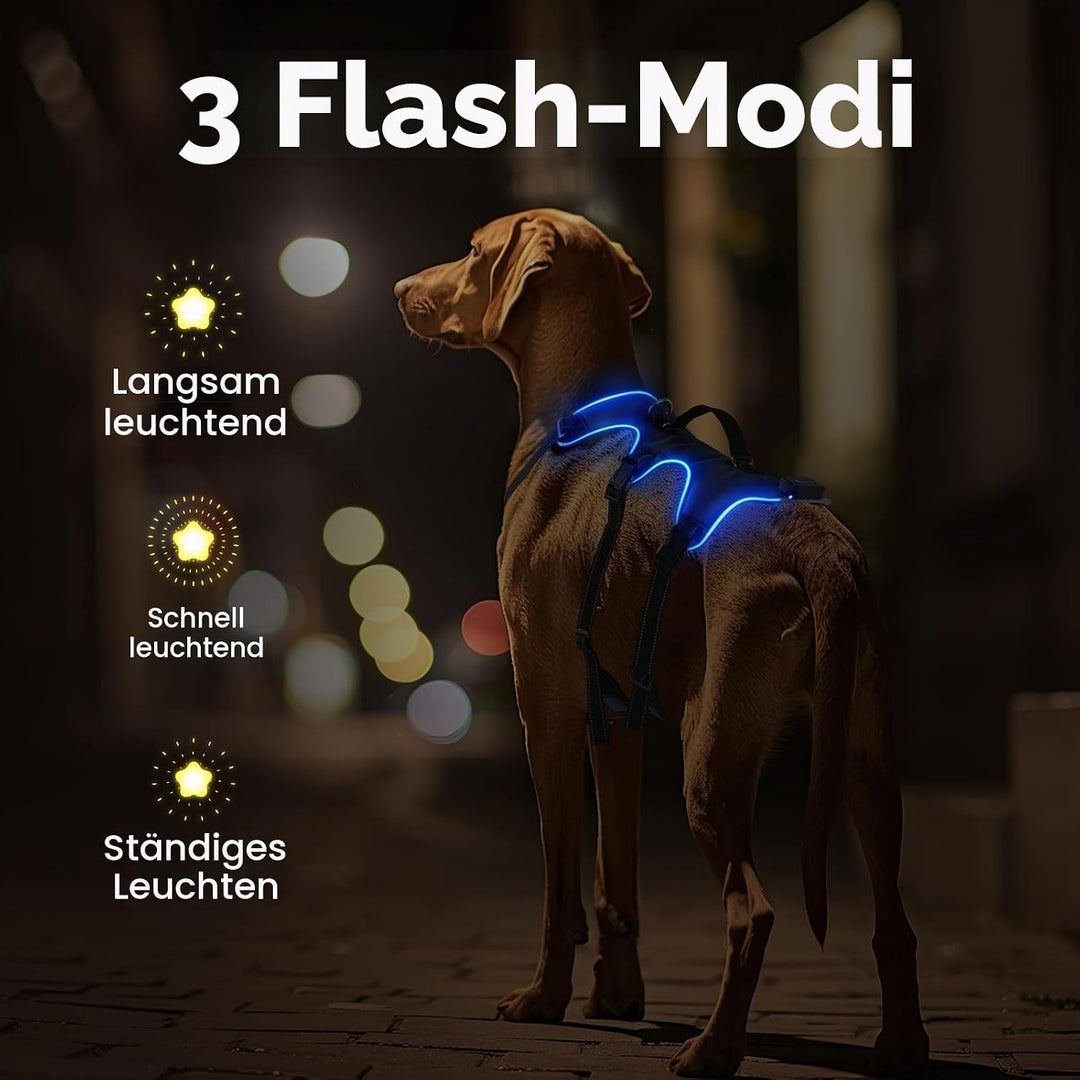 Jewyow Hundegeschirr Leuchtend, Wiederaufladbare LED Hundegeschirr, Led Geschirr für Hunde mit Weich