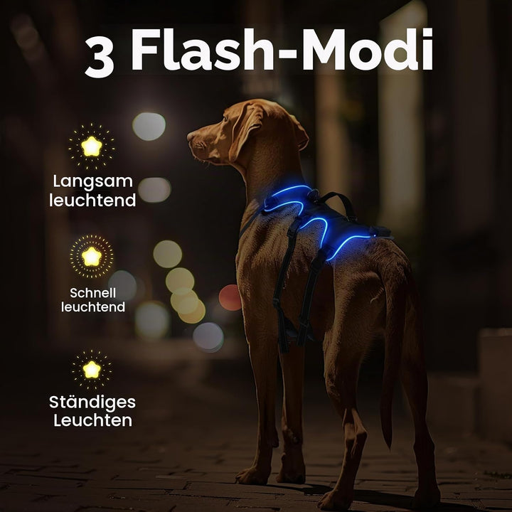 Jewyow Hundegeschirr Leuchtend, Wiederaufladbare LED Hundegeschirr, Led Geschirr für Hunde mit Weich