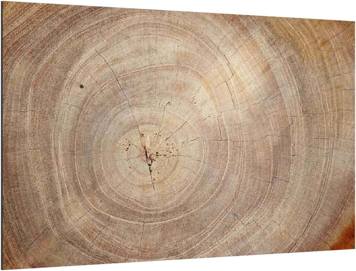 ALLboards Glas Magnettafel Baumstamm Natur Baumkern 60x40cm Glasbild Memoboard aus Glas Glastafel mi