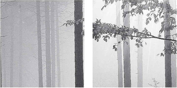 Runa Art Bild Wald Landschaft Wandbilder auf Vlies Leinwand 5 Teilig Wanddekoration Schlafzimmer Woh