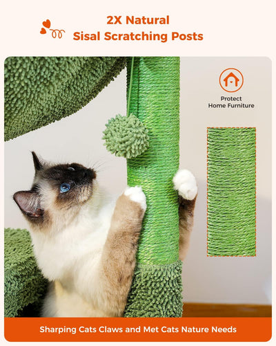 PAWZ Road Kaktus Katzenbaum für Hauskatzen, Katzenkletterbaum Katzenspielturm mit Hängematte, Katzen