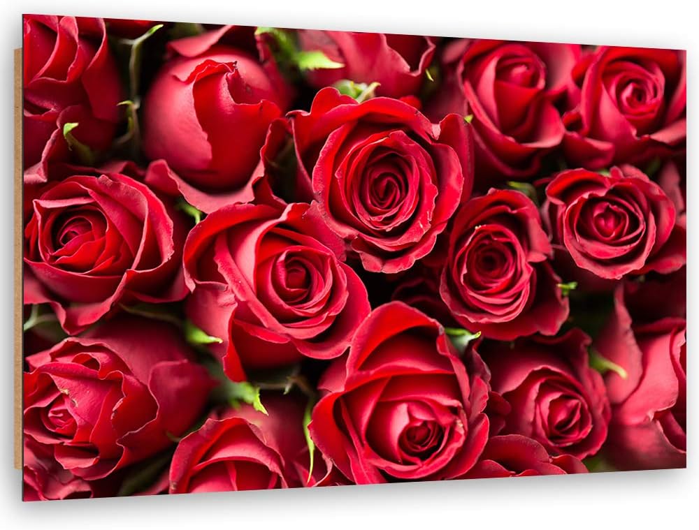 Wandbild Natur Modern Deko Kunst Bilder Blume Rot 90x60 cm M14550 90x60 cm, M14550 90x60 cm