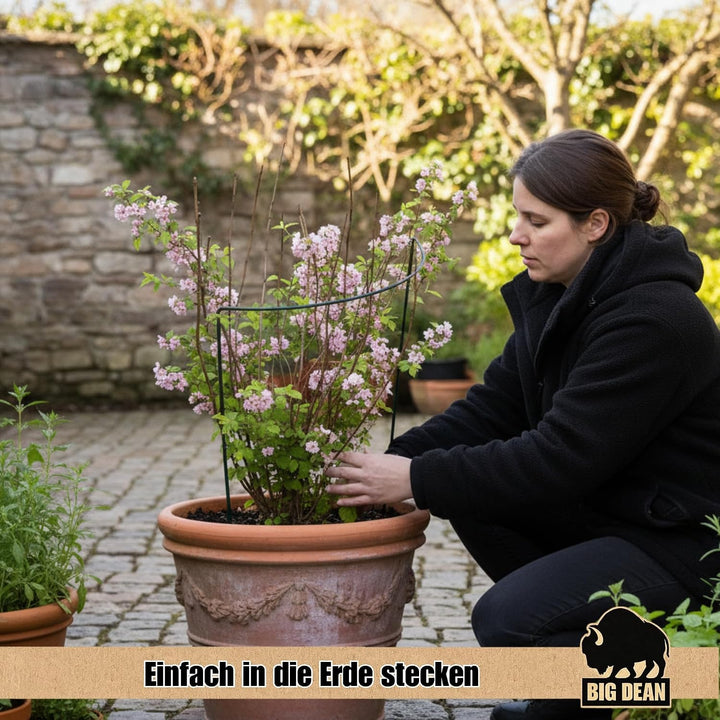 10x Strauchstüzen 70x40x15 Höhe Breite Bogen 6mm Dick