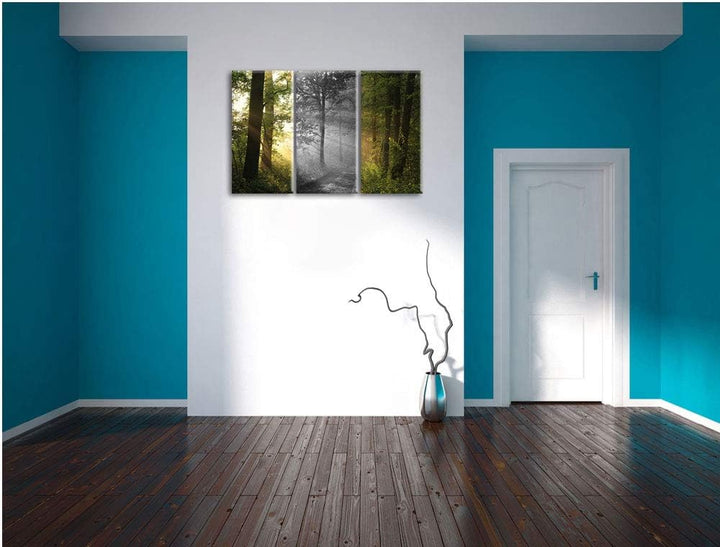Ruhiger Waldweg im Grünen schwarz/weiss 3-Teiler Leinwandbild 120x80 Bild auf Leinwand, XXL riesige