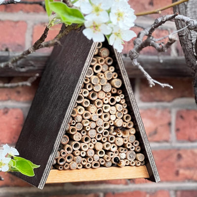 GARDIGO® Bienenhotel inkl. Blühwiesenpatenschaft I Unterschlupf für Wildbienen I Bienenhaus für den