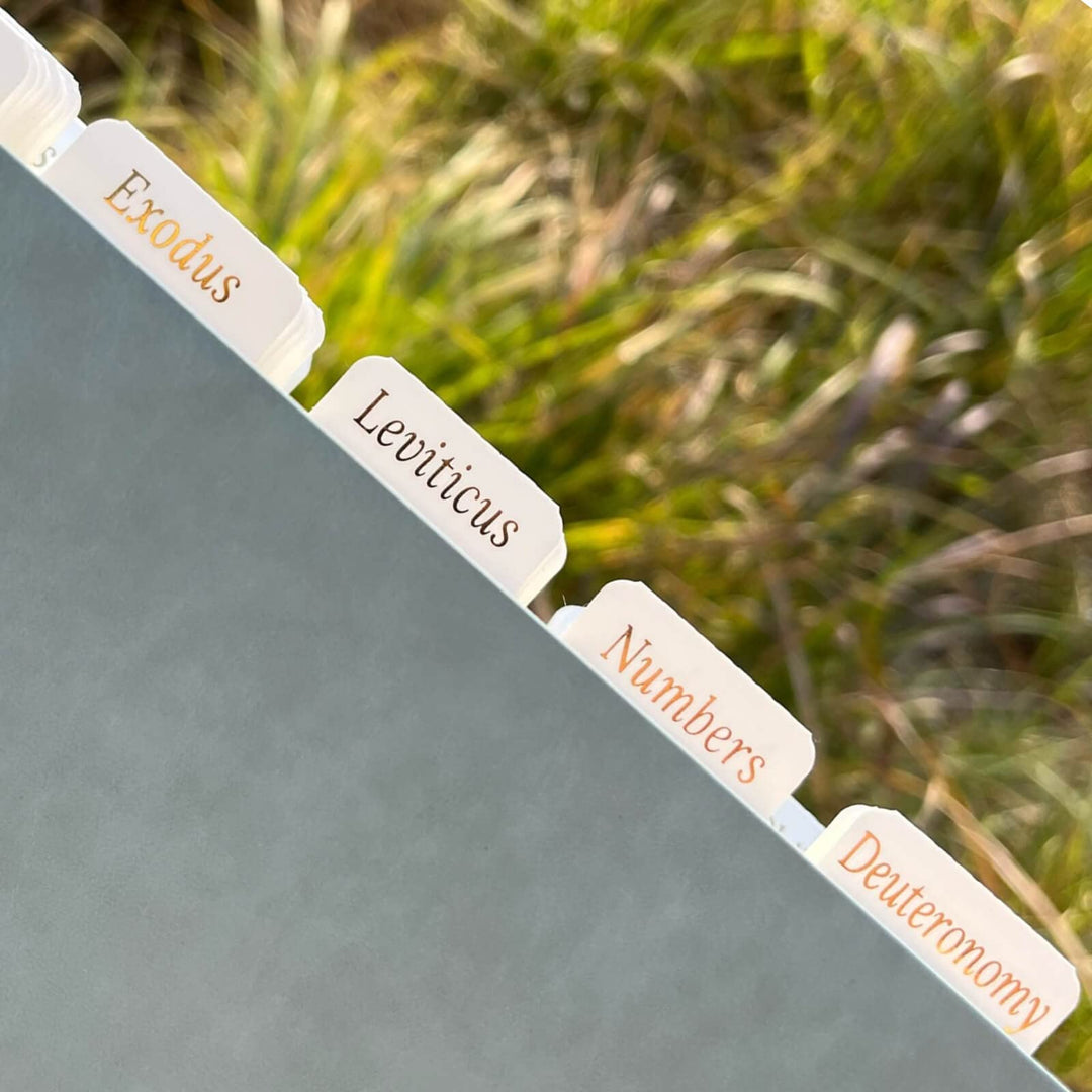 Bibel-Tabs für Frauen/Männer/Kinder, weisse Bibel-Tabs mit goldenem grossem Druck, leicht zu lesen,