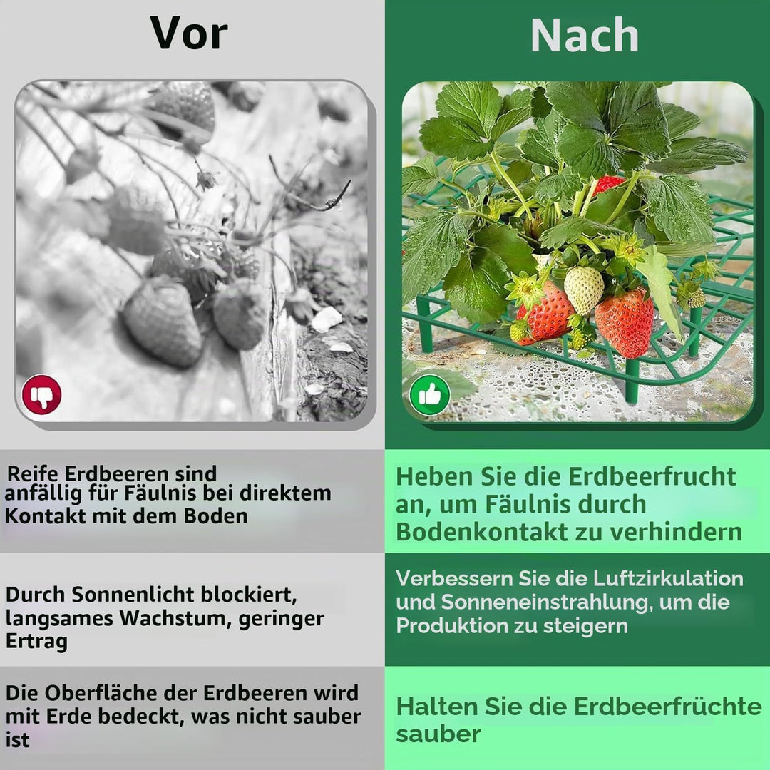 GIONAR 12 Stück Erdbeerstützen Ständer - Erdbeerregal - Balkon Erdbeernetze,Erdbeeren vor Staub und