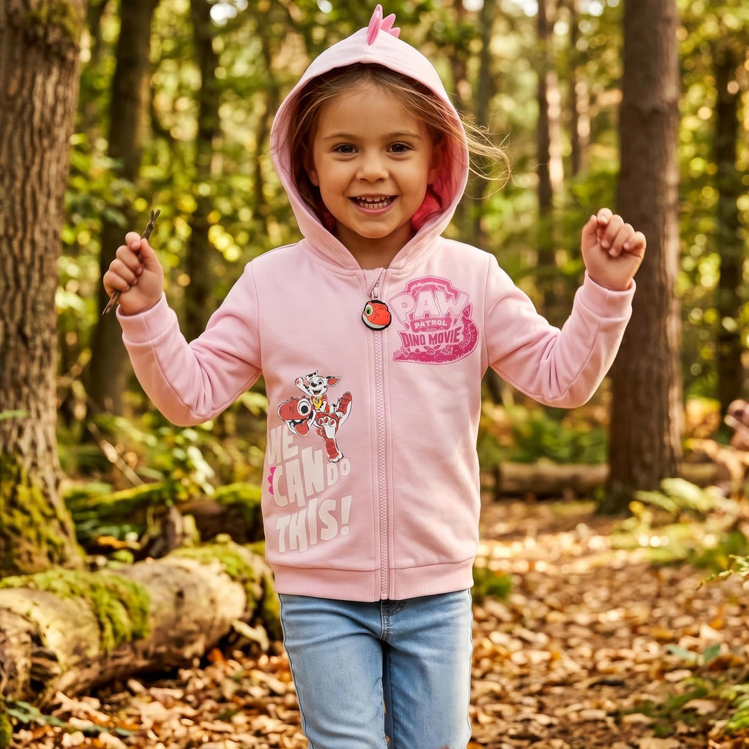 PAW PATROL Pullover Mädchen, Skye Und Marshall Pulli Mädchen 110, 110