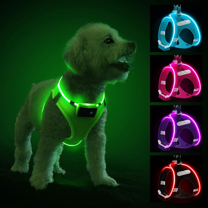 PcEoTllar Hundegeschirr Leuchtend, Leuchtgeschirr LED Aufladbar & Reflektierendes, Beleuchtetes Leuc