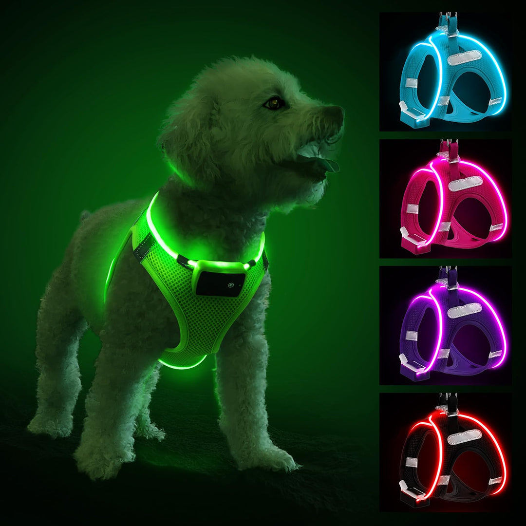 PcEoTllar Hundegeschirr Leuchtend, Leuchtgeschirr LED Aufladbar & Reflektierendes, Beleuchtetes Leuc