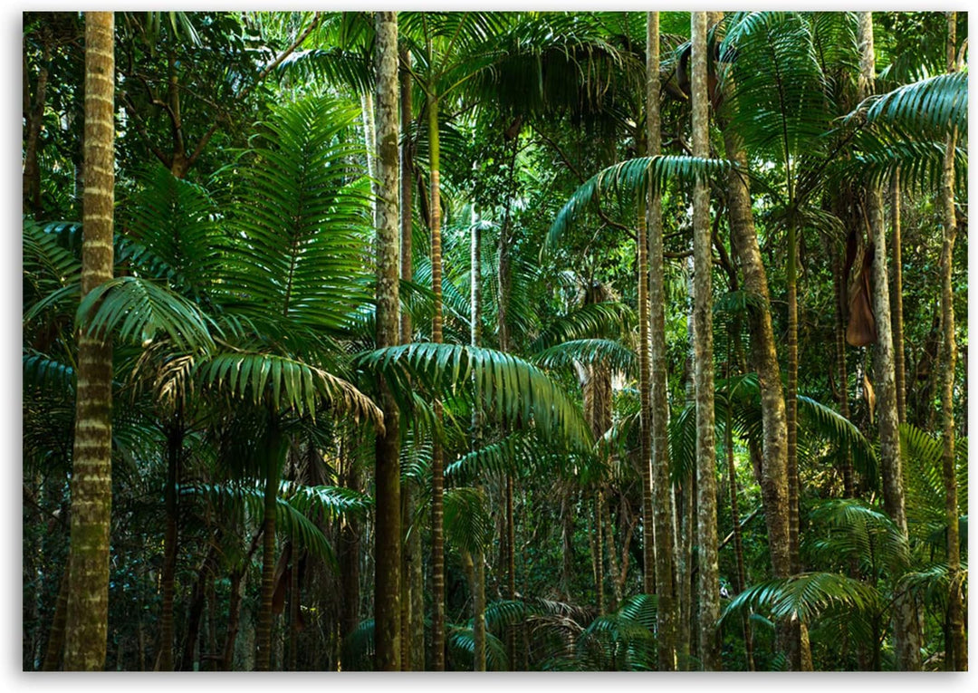 Feeby. Wandbild - 1 Teilig - 70x100 cm, Leinwand Bild Leinwandbilder Bilder Wandbilder Kunstdruck, D