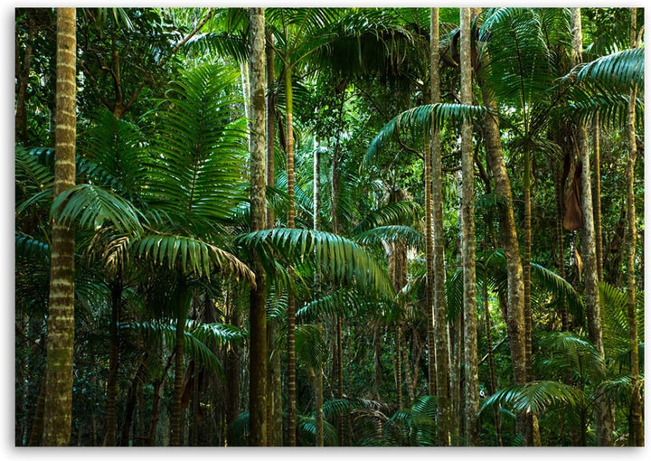 Feeby. Wandbild - 1 Teilig - 70x100 cm, Leinwand Bild Leinwandbilder Bilder Wandbilder Kunstdruck, D