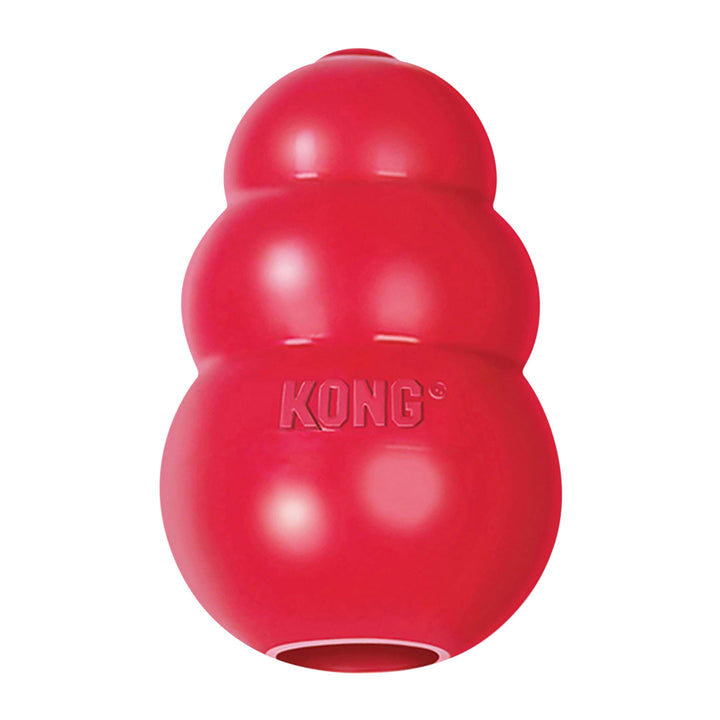 KONG-Klassisch-Md, Mittelgrosse