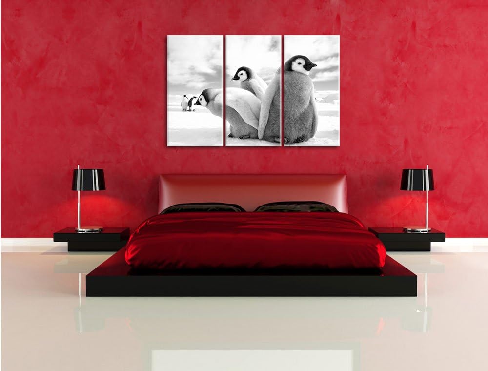 Pixxprint Kaiserpinguin Gruppe als Leinwandbild/Grösse: 3 Teilig (120x80) cm/Wandbild/Kunstdruck/fer