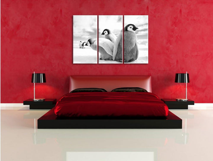 Pixxprint Kaiserpinguin Gruppe als Leinwandbild/Grösse: 3 Teilig (120x80) cm/Wandbild/Kunstdruck/fer