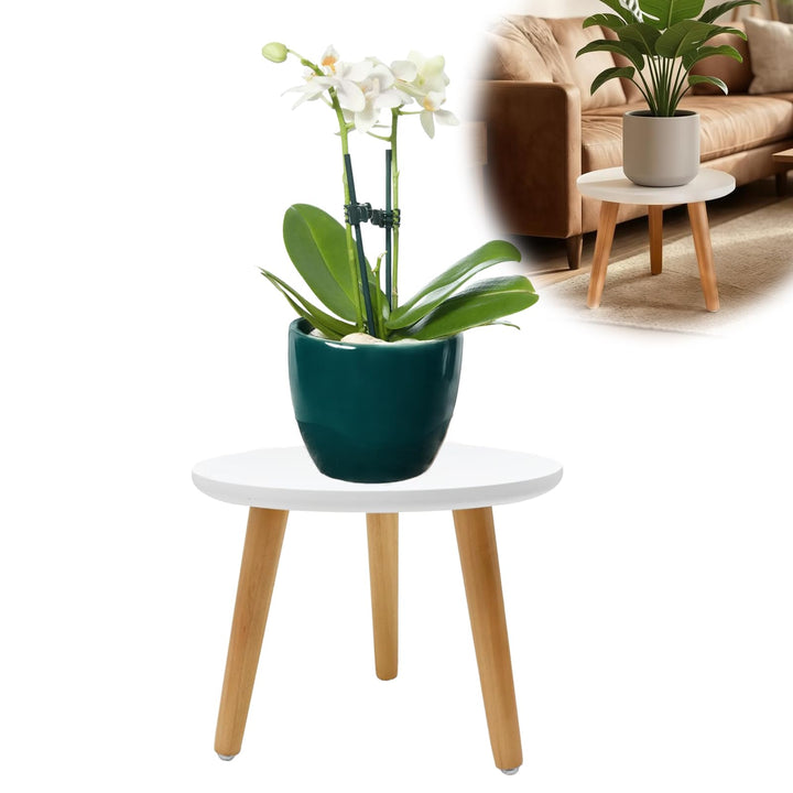 Pflanzenständer Holz, Pflanzenhocker Holz Klein, Blumenbank für Innen Blumenständer Rund Hohe Belast