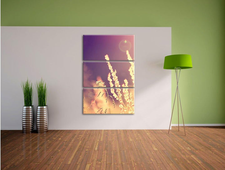 Pixxprint Gräser im Sonnenuntergang als Leinwandbild/Grösse: 3 Teilig (120x80) cm/Wandbild/Kunstdruc