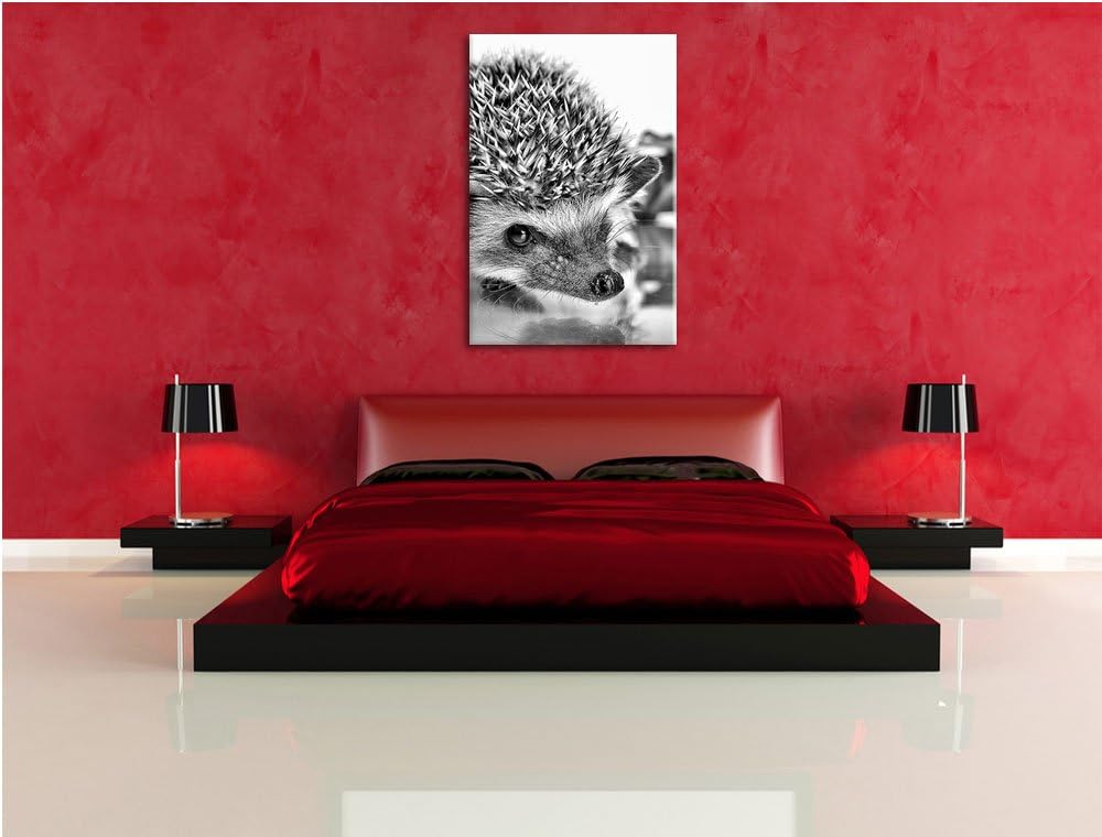 Monocrome, Süsser Igel , Format: 100x70 auf Leinwand, XXL riesige Bilder fertig gerahmt mit Keilrahm