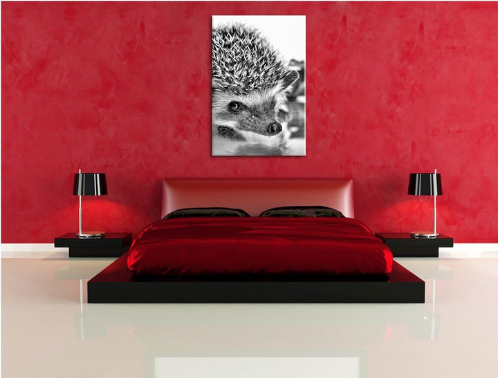 Monocrome, Süsser Igel , Format: 100x70 auf Leinwand, XXL riesige Bilder fertig gerahmt mit Keilrahm
