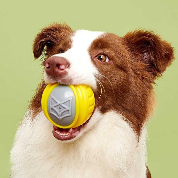 FOFOS Flexy Ball Ultra Bounce Loud Squeaky Dog Toy, gelb ist ein Hundespielzeug, das stundenlangen S