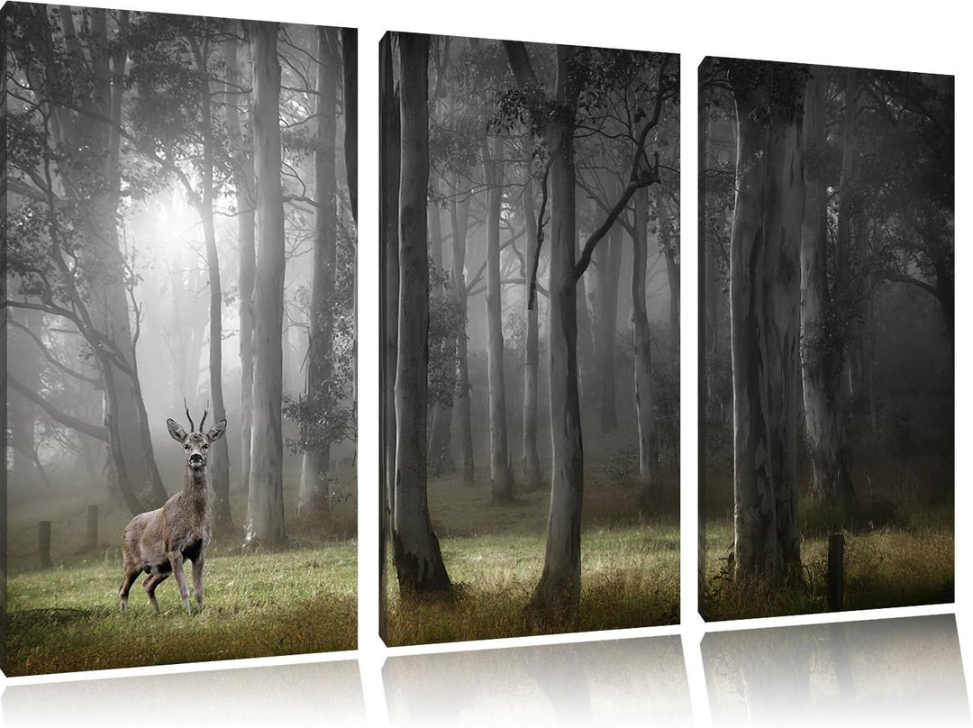 Pixxprint Einsamer Hirsch im tiefen Wald B&W Detail 3-Teiler Leinwandbild 120x80 Bild auf Leinwand