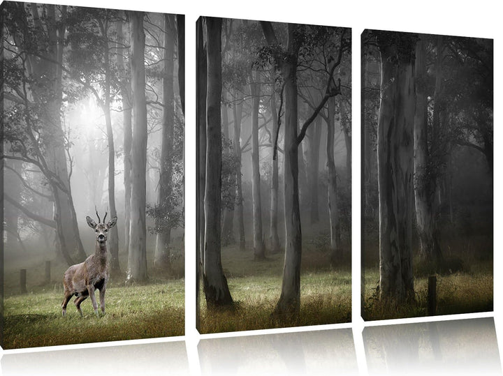 Pixxprint Einsamer Hirsch im tiefen Wald B&W Detail 3-Teiler Leinwandbild 120x80 Bild auf Leinwand