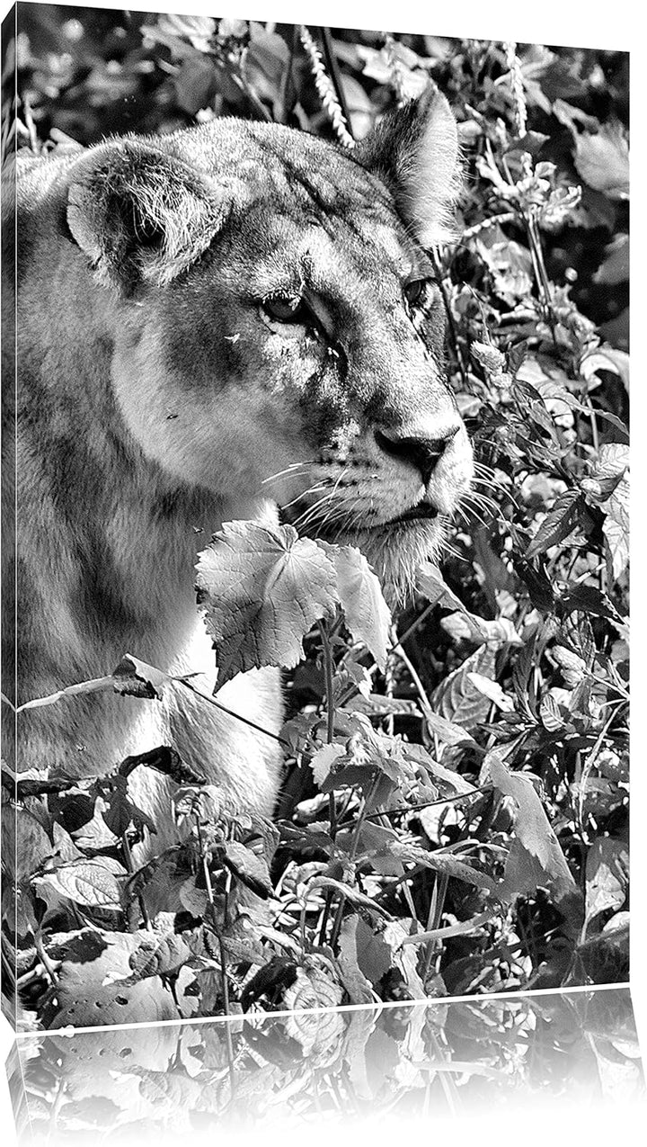 Monocrome, wachsame Löwin, Format: 100x70 auf Leinwand, XXL riesige Bilder fertig gerahmt mit Keilra