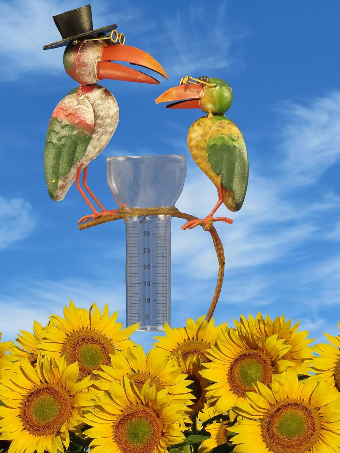 Pommerntraum ® | Regenmesser Niederschlagsmesser Pluviometer Rostoptik Prof. Dr. Rabe mit + Meisenkn