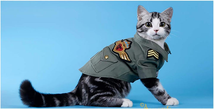 Selens PVC Hintergrund 120x200cm Wasserdicht Fotografie Hintergründe Matte Background für Fotostudio