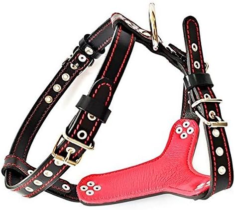 Bestia |Rocky| Leder Brustgeschirr für Bullterrier. 100% Leder. Handgefertigt. Top Qualität M- für e