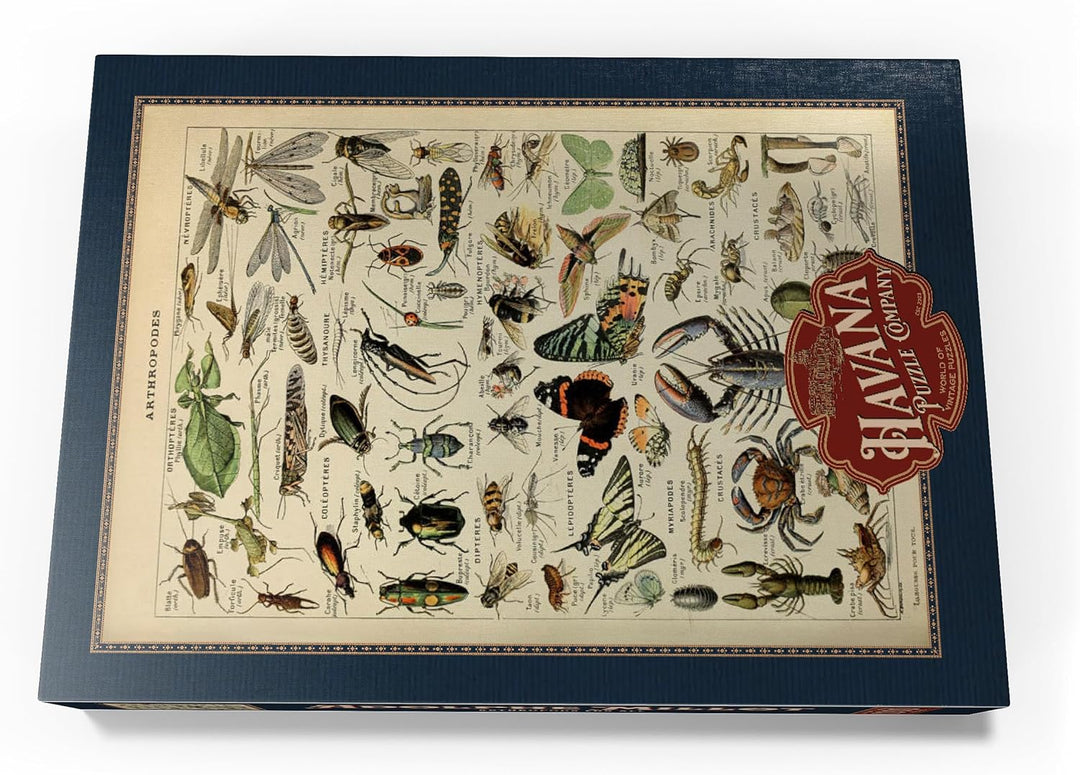 Gliederfüsser für alle, Vintage Art Poster, Adolphe Millot - Premium 1000 Teile Puzzle - MyPuzzle So
