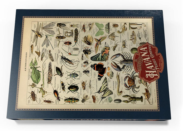 Gliederfüsser für alle, Vintage Art Poster, Adolphe Millot - Premium 1000 Teile Puzzle - MyPuzzle So