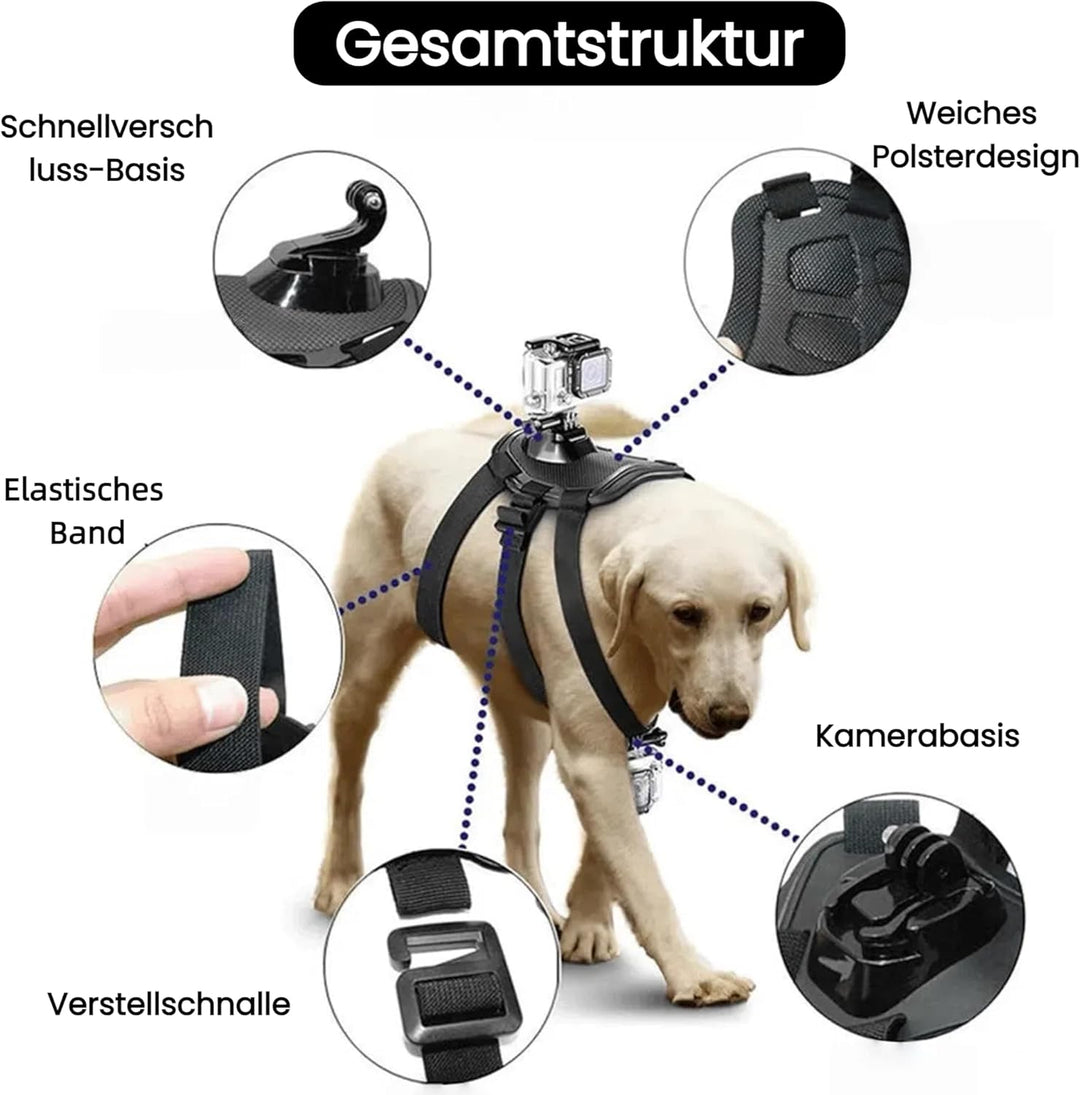 Haustier Geschirr für GoPro, Hundegeschirr für GoPro 13 12 11 10 9 8 7 Insta360 X5 X4 X3 Go3s DJI Os