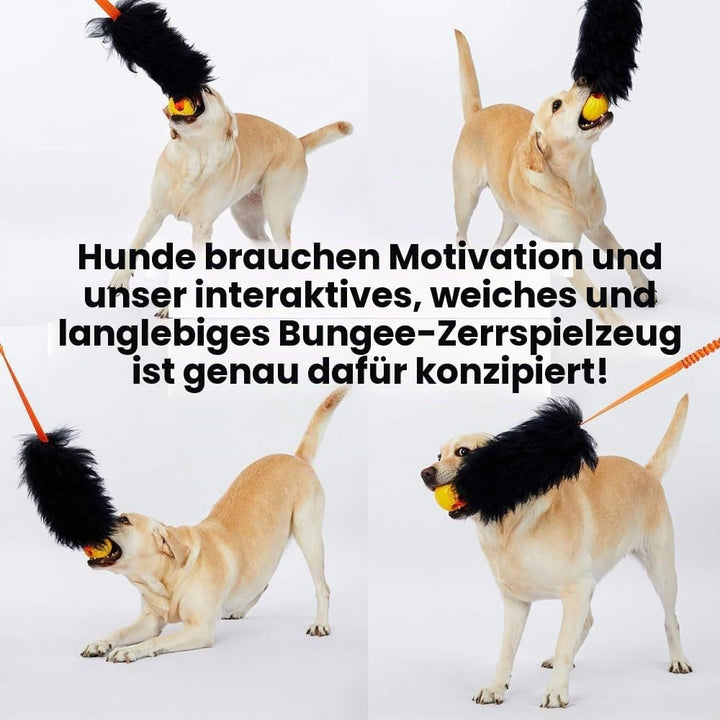 HOWGO Bungee-Chaser-Spielzeug für Hunde, 100% Schaffell, Bungee-Chaser-Spielzeug, Seil-Fogy, Zerrspi