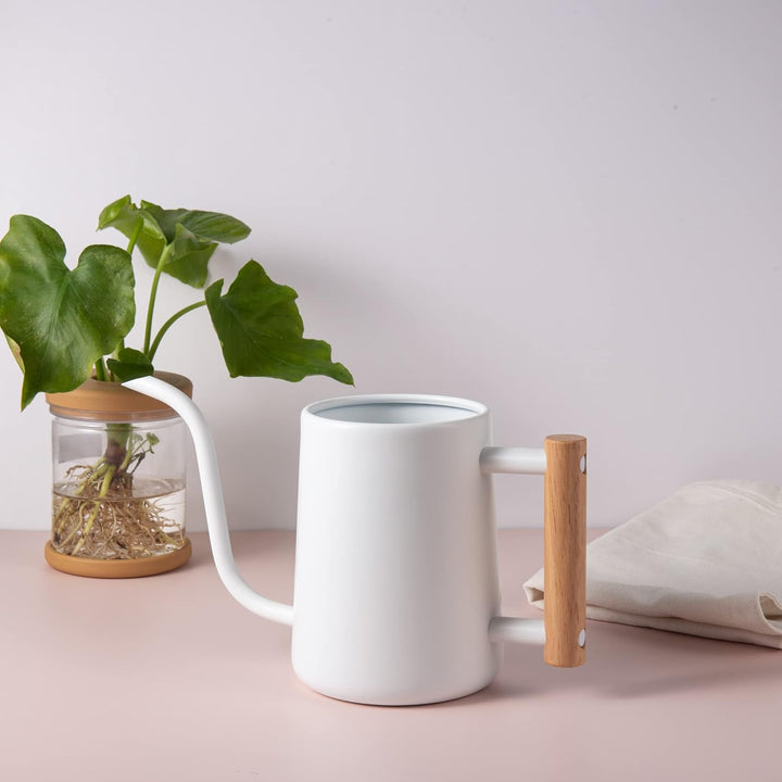 IMEEA 1L Indoor-Giesskanne Zimmerpflanzen ，Moderne Giesskannek kleinere Topfpflanzen Edelstahl-Giess