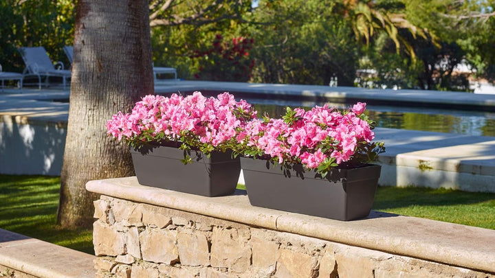 CAPRI XL PLANT BOX 80CM LIGHT TERRACOTTA
