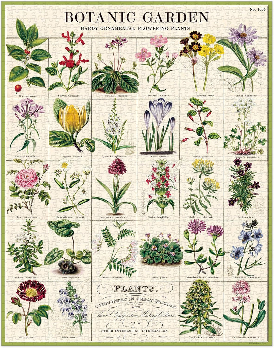 Cavallini Papers & Co. PZL/BOTGRD Botanic Garden 1000 Teile Puzzle, Mehrfarbig/Meereswellen (Ocean T