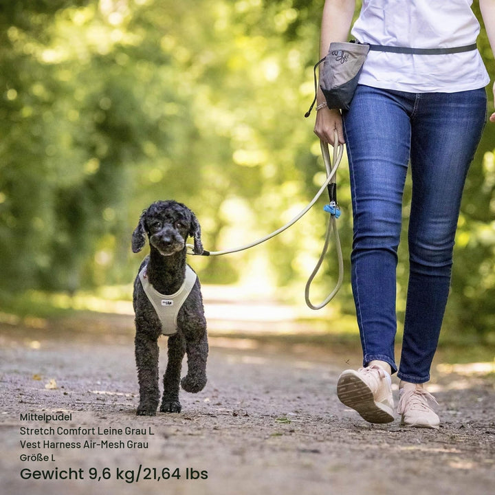 Stretch Comfort Leash Fuchsia M, Fuchsia M