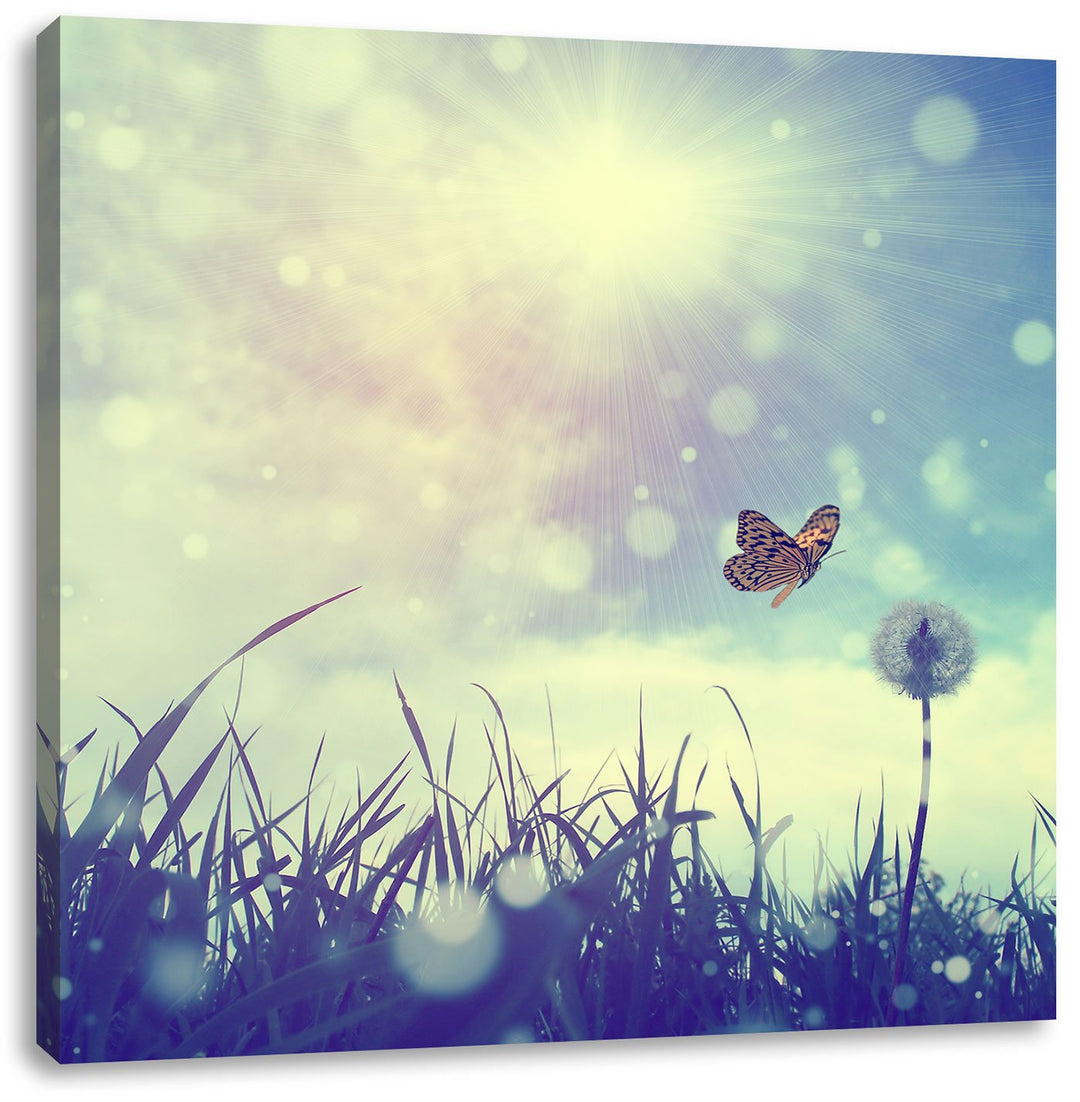 Pixxprint zarter Schmetterling fliegt zu Pusteblume, Format: 70x70 auf Leinwand, 70x70