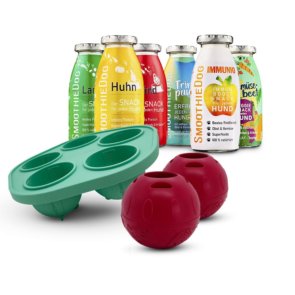 SmoothieDog Schleckball-Set + 1 Schleckball Hundesmoothie 6er Mix (250ml) - Schleckball für Hunde, S